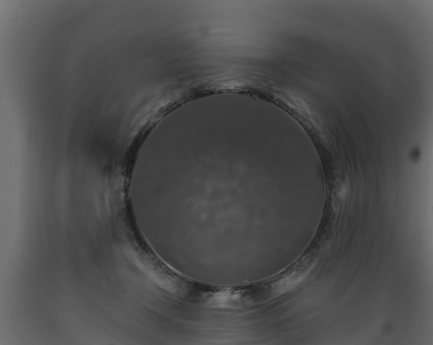 X0000089920366200707061024