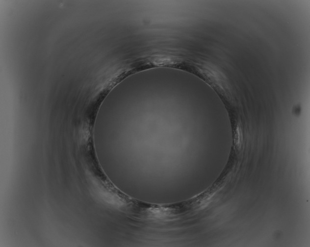 X0000089920367200707061024