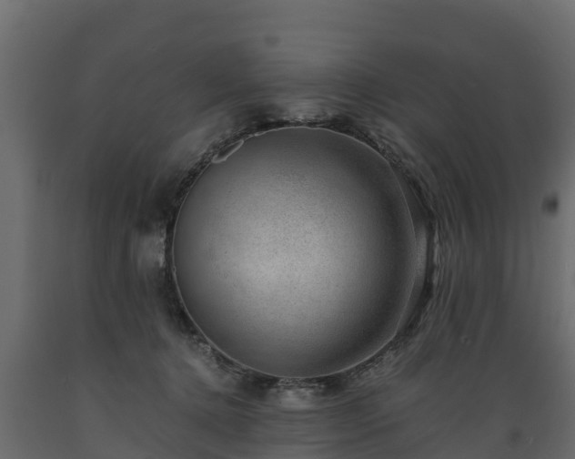X0000089920368200707061024