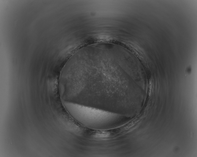 X0000089920369200707061024