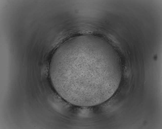 X0000089920370200707061024
