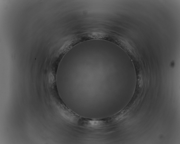 X0000089920371200707061024