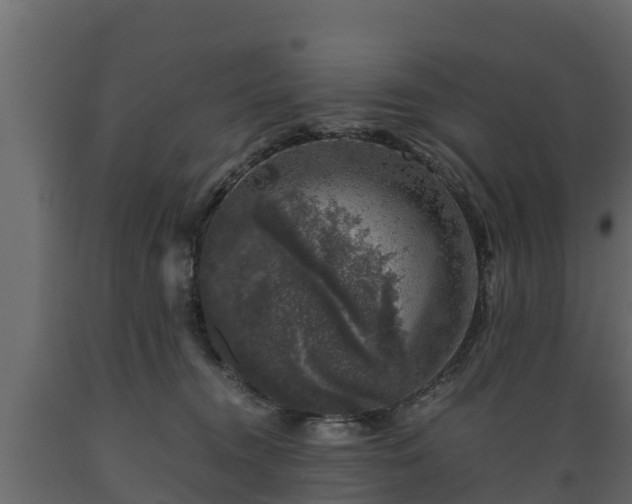X0000089920372200707061024