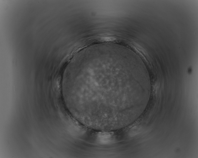 X0000089920373200707061024