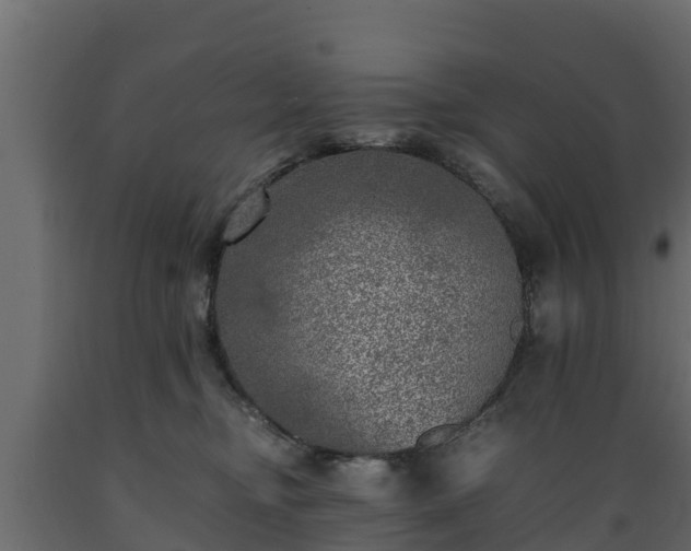 X0000089920374200707061024