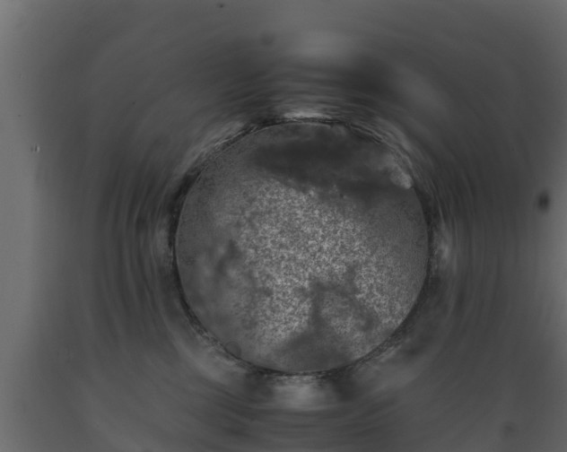 X0000089920377200707061024