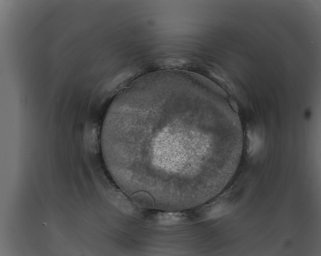 X0000089920378200707061024
