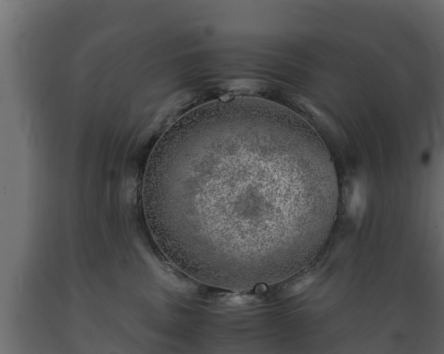 X0000089920379200707061024