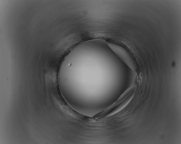 X0000089920380200707061024