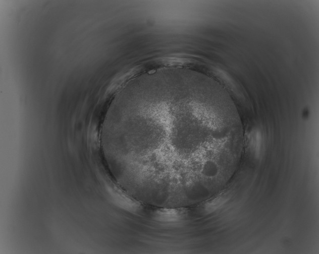 X0000089920381200707061024