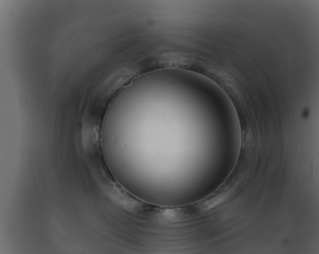 X0000089920382200707061024