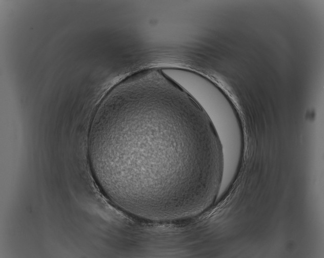 X0000089920385200707061023