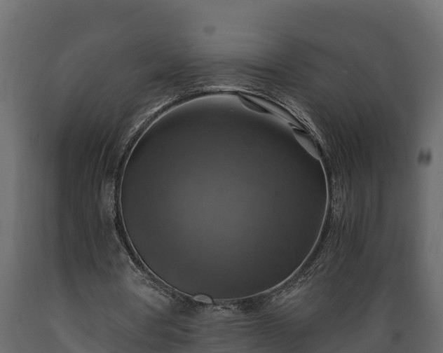 X0000089920386200707061023