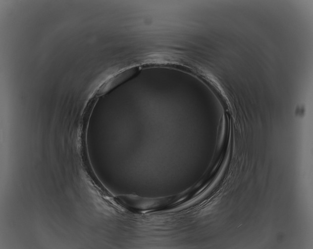 X0000089920387200707061023