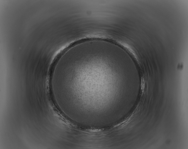 X0000089920388200707061023