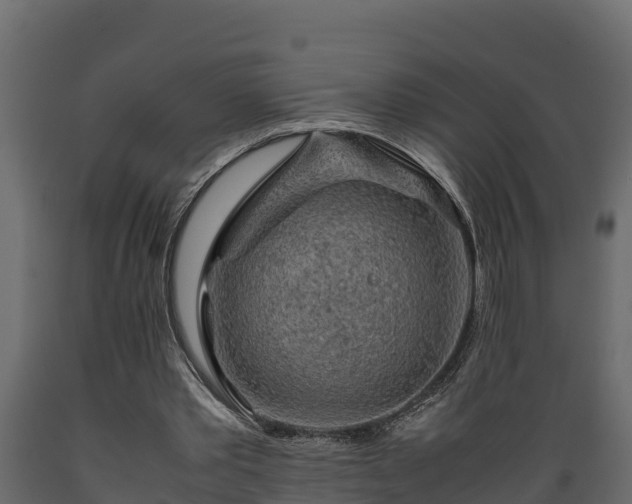 X0000089920389200707061023
