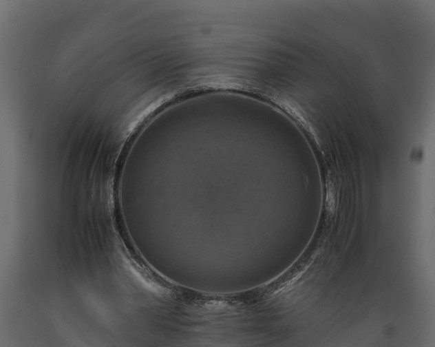 X0000089920390200707061023