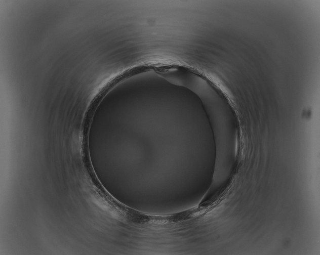 X0000089920391200707061023