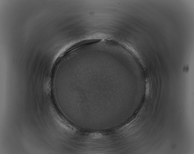 X0000089920392200707061023