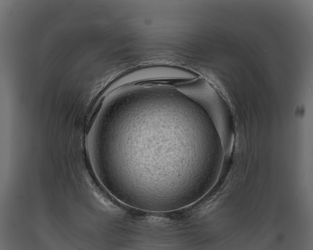 X0000089920393200707061023