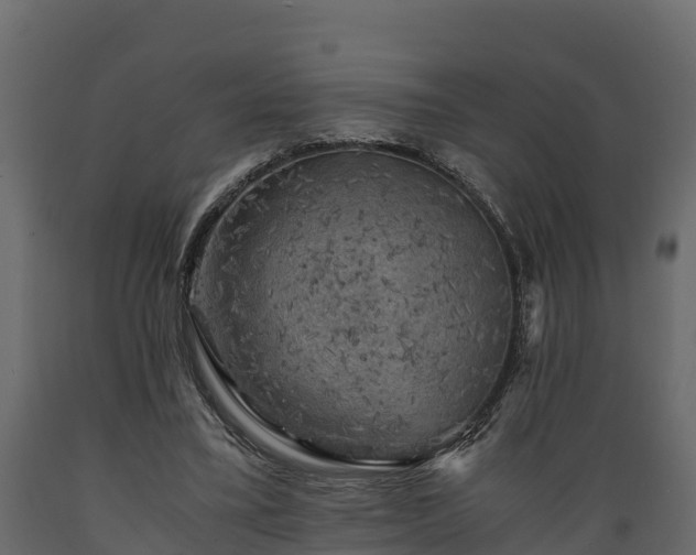 X0000089920395200707061023