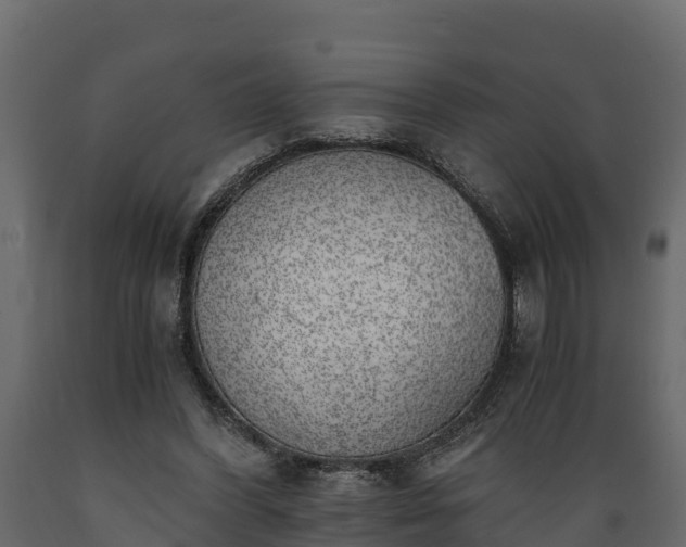 X0000089920396200707061023
