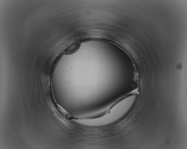 X0000089920397200707061023