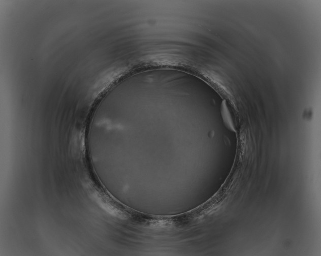 X0000089920398200707061023