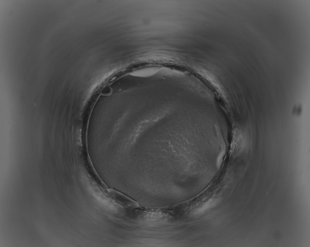 X0000089920399200707061023