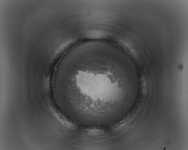 X0000089920400200707061023