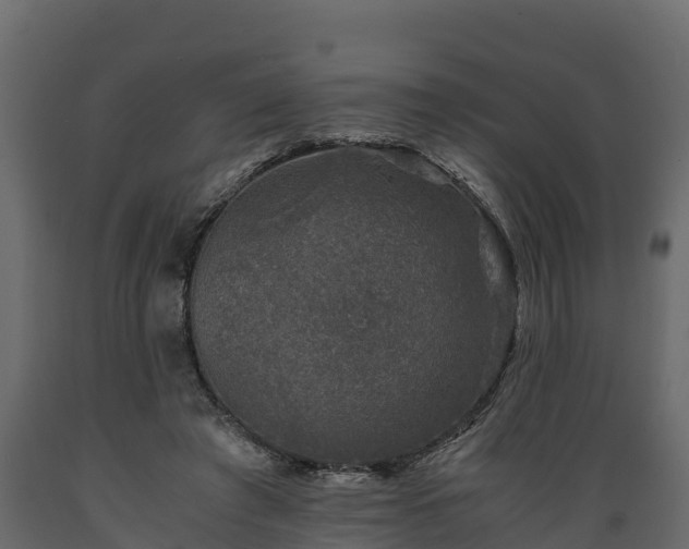 X0000089920401200707061023