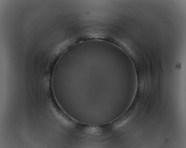 X0000089920402200707061023
