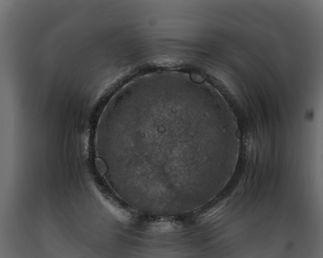 X0000089920404200707061023