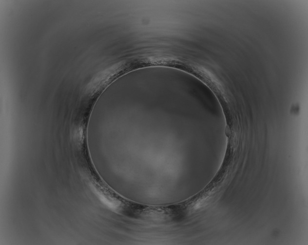 X0000089920405200707061023