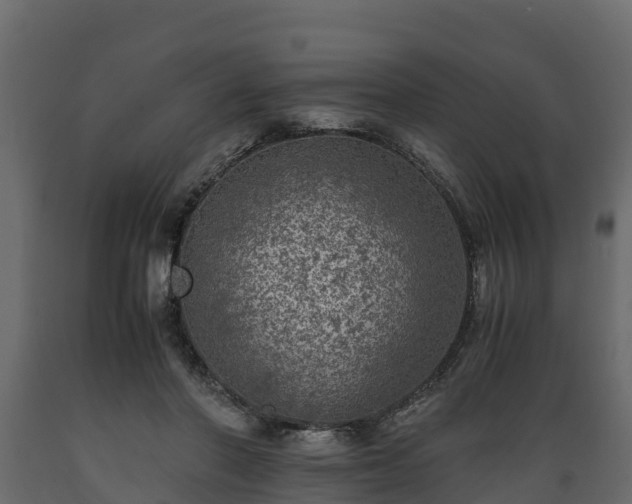 X0000089920406200707061023