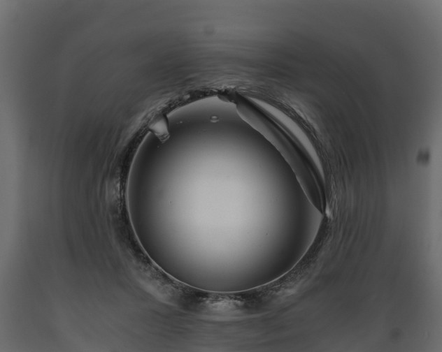 X0000089920407200707061023