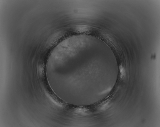 X0000089920408200707061023