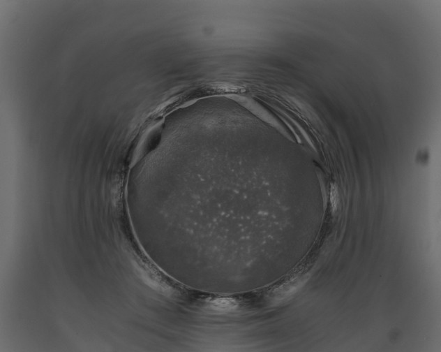 X0000089920409200707061023