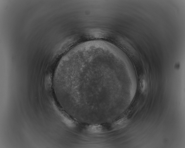 X0000089920410200707061023