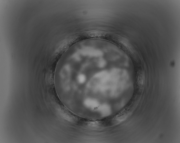 X0000089920411200707061023