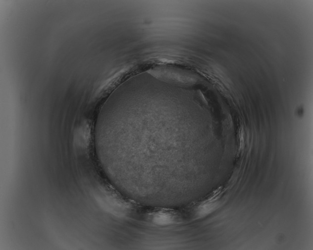 X0000089920412200707061023