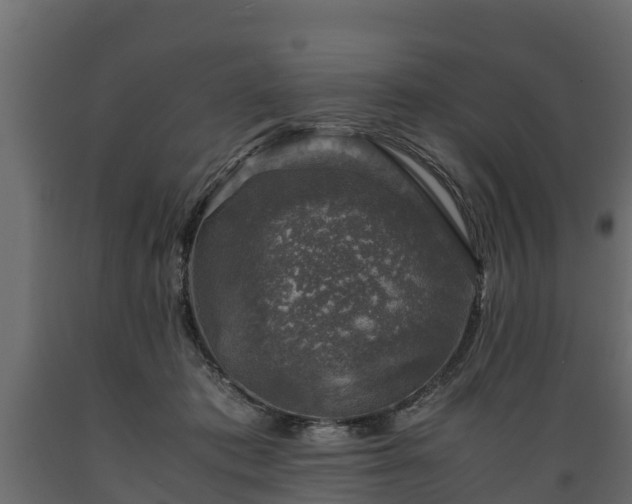 X0000089920413200707061023