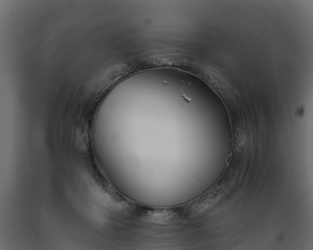 X0000089920414200707061023