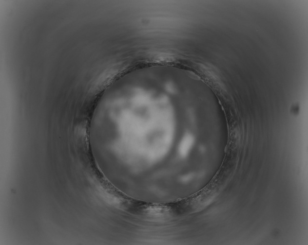 X0000089920415200707061023