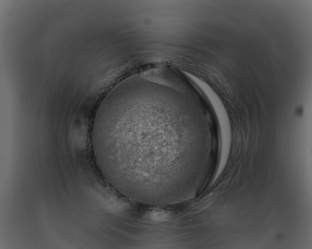 X0000089920416200707061023