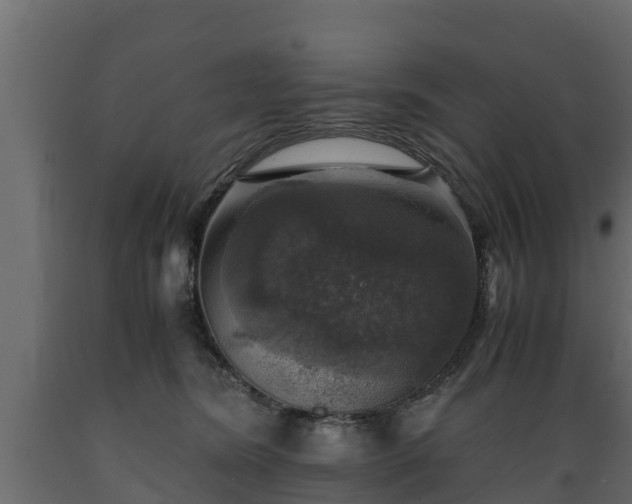 X0000089920420200707061023