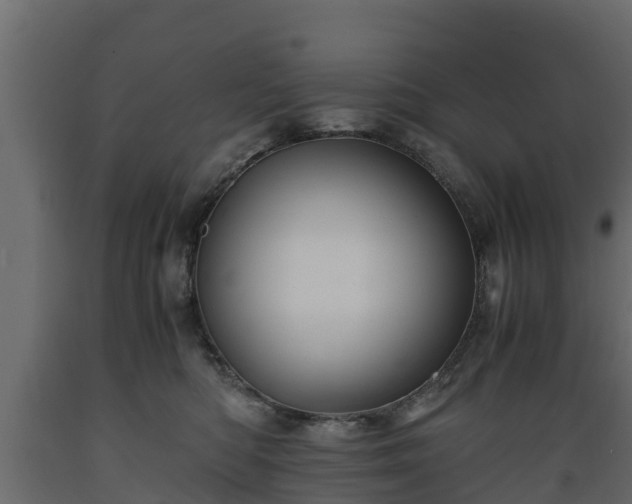 X0000089920422200707061023