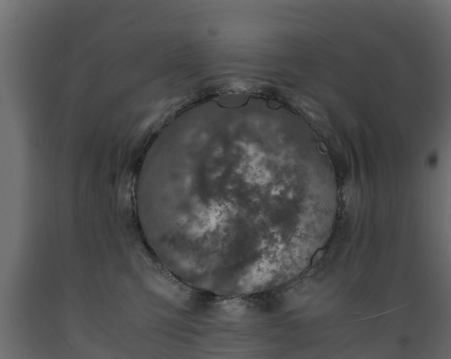 X0000089920423200707061023