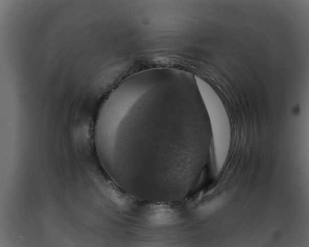 X0000089920424200707061023