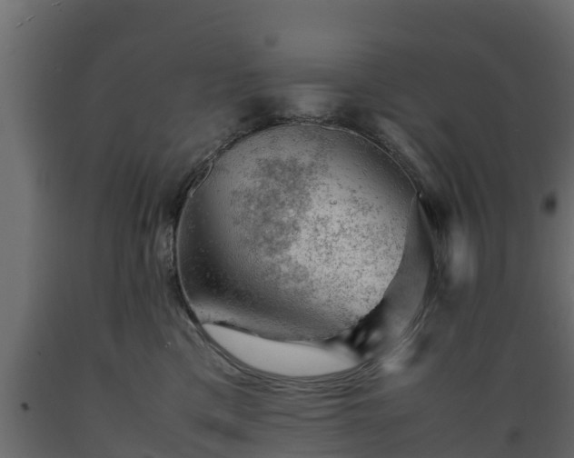 X0000089920425200707061023